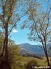 appennino_catria06