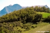 appennino_catria08