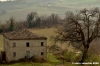 ascoli_piceno_campagna02