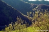 bocca_trabaria3