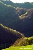 bocca_trabaria4