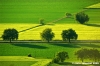 campagna_recanatese02