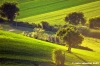 campagna_recanatese06