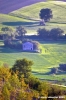 campagna_recanatese07