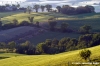 campagna_recanatese10