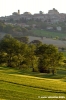campagna_recanatese14