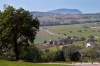 campagna_recanatese23