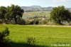 campagna_recanatese25