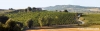 castelfidardo_campagna03