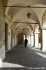 cingoli06