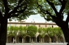 cingoli15
