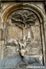 cingoli18