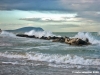 civitanova_marche24