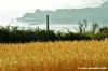 conero_portonovo44