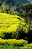 conero_primavera020