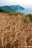 conero_trave01