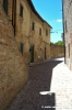 corinaldo008