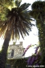cupramarittima08
