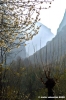 gola_del_furlo03