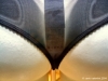 intimo_natale03