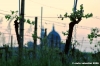 loreto004