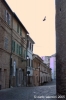 loreto100
