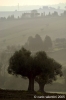 loreto_campagna4