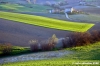 loro_piceno09