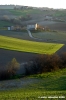 loro_piceno10