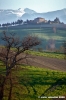 loro_piceno14