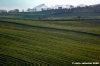 loro_piceno25