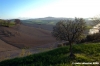 loro_piceno34