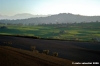loro_piceno35