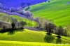 macerata_campagna02