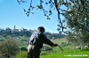 macerata_campagna09