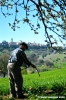 macerata_campagna11