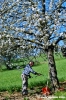 macerata_campagna13