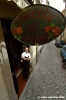 macerata_osteria_fiori05