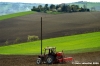 massa_fermana_campagna5
