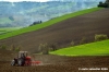 massa_fermana_campagna6