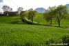 matelica_campagna009