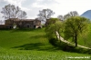 matelica_campagna010