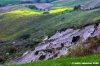 monsano_campagna