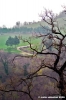 montefeltro06