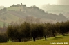 montottone05