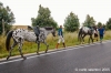 parco_conero002