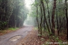 parco_conero050