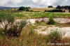 parco_conero064