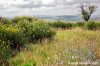 parco_conero067
