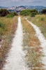 parco_conero070